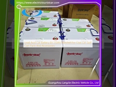 लीड एसिड कार बैटरी 6V 170AH क्लब कार गोल्फ कार्ट पार्ट्स और सामान के लिए मार्शल