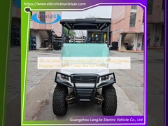48 वी एसी मोटर इलेक्ट्रिक यूटिलिटी गोल्फ कार्ट 2 व्यक्ति इलेक्ट्रिक सामान कार्ट के साथ कार्गो बॉक्स होटल के लिए